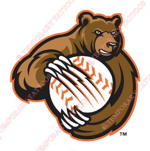 Fresno Grizzlies Customize Temporary Tattoos Stickers NO.8158